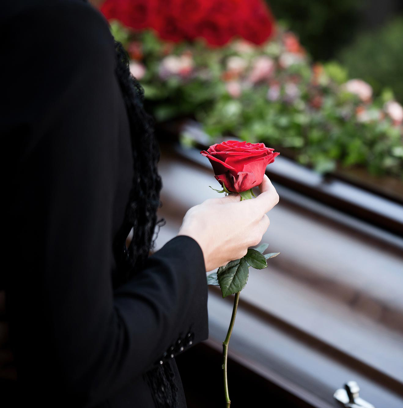 Mourner holding a red rose beside a coffin